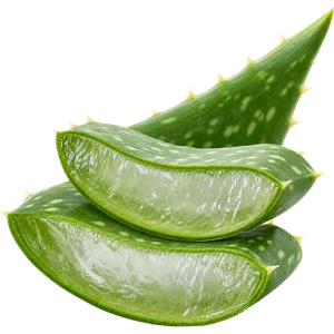 Aloe-vera-Blattsaft